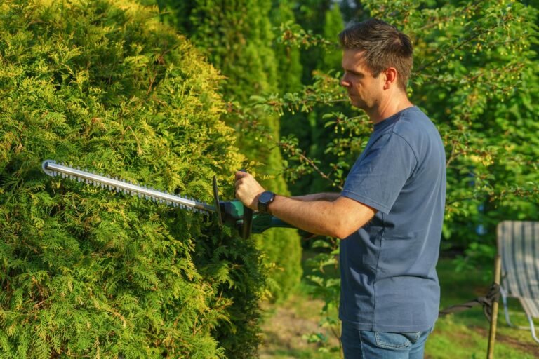 Man snoeit struik in tuin