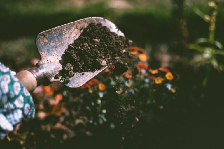 Druppelslang langs planten in een groene moestuin