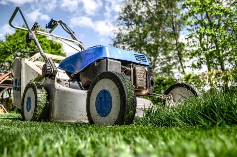 Strak gemaaid gazon met nette randen - accu grastrimmer resultaat