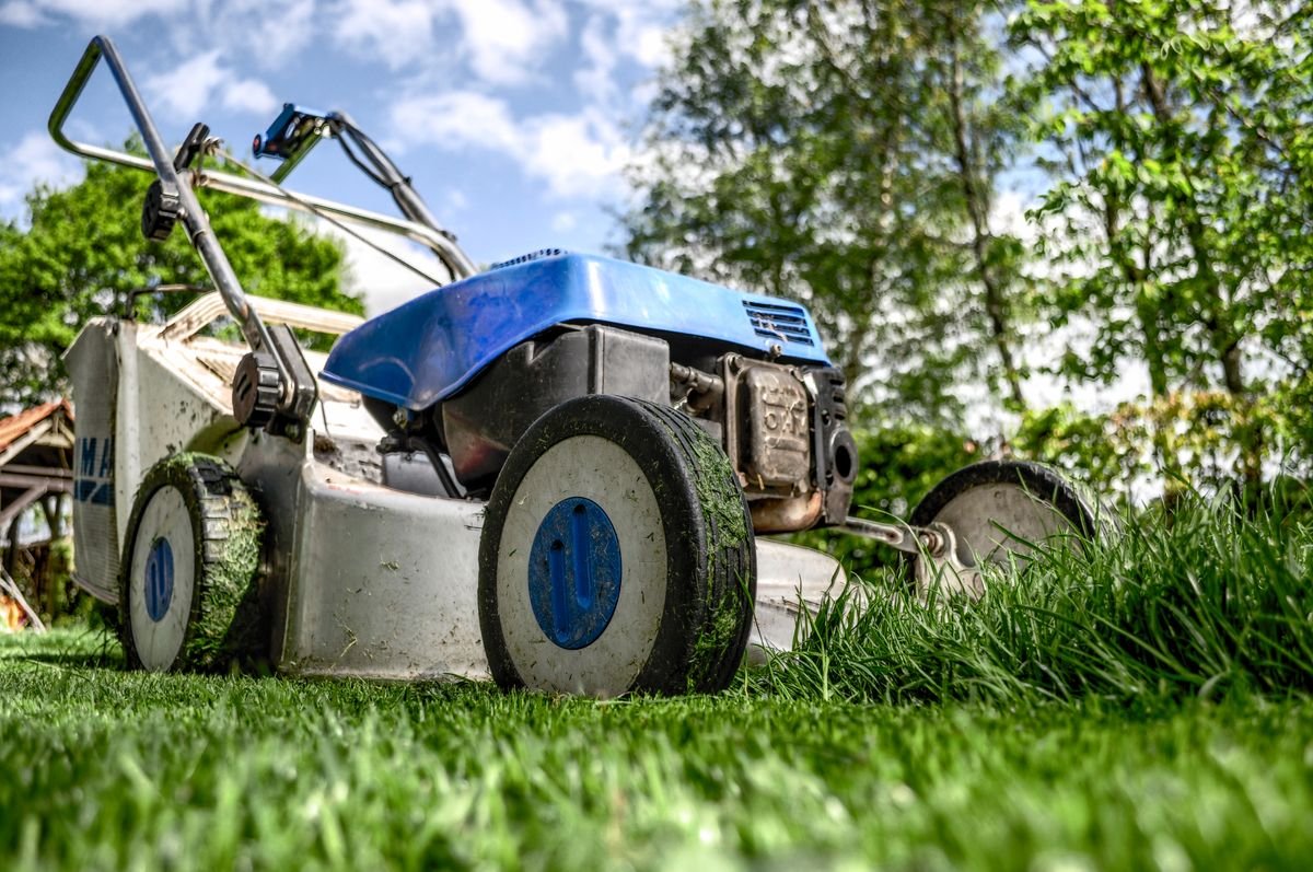 Strak gemaaid gazon met nette randen - accu grastrimmer resultaat