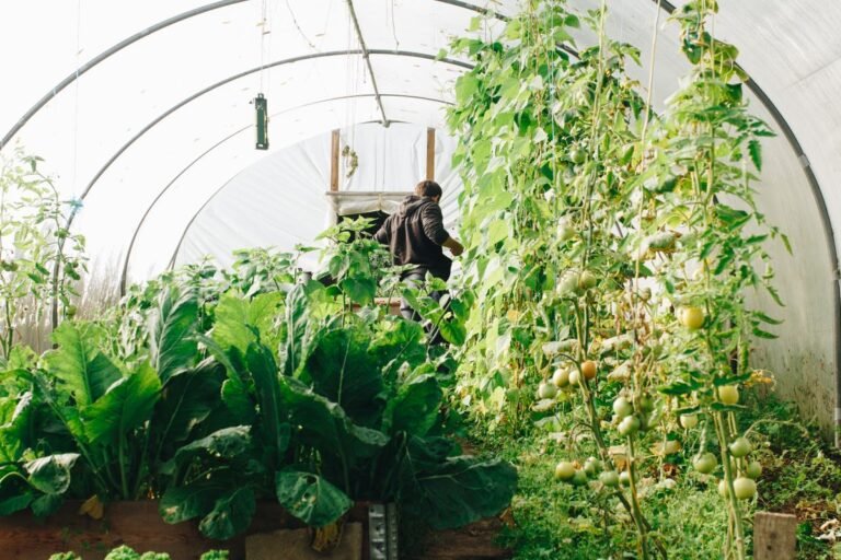 Zelfgebouwde verhoogde moestuinbak met groenten